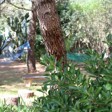 Bed & Breakfast La Gazza Ladra *