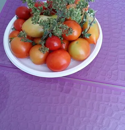 La Gazza Ladra *